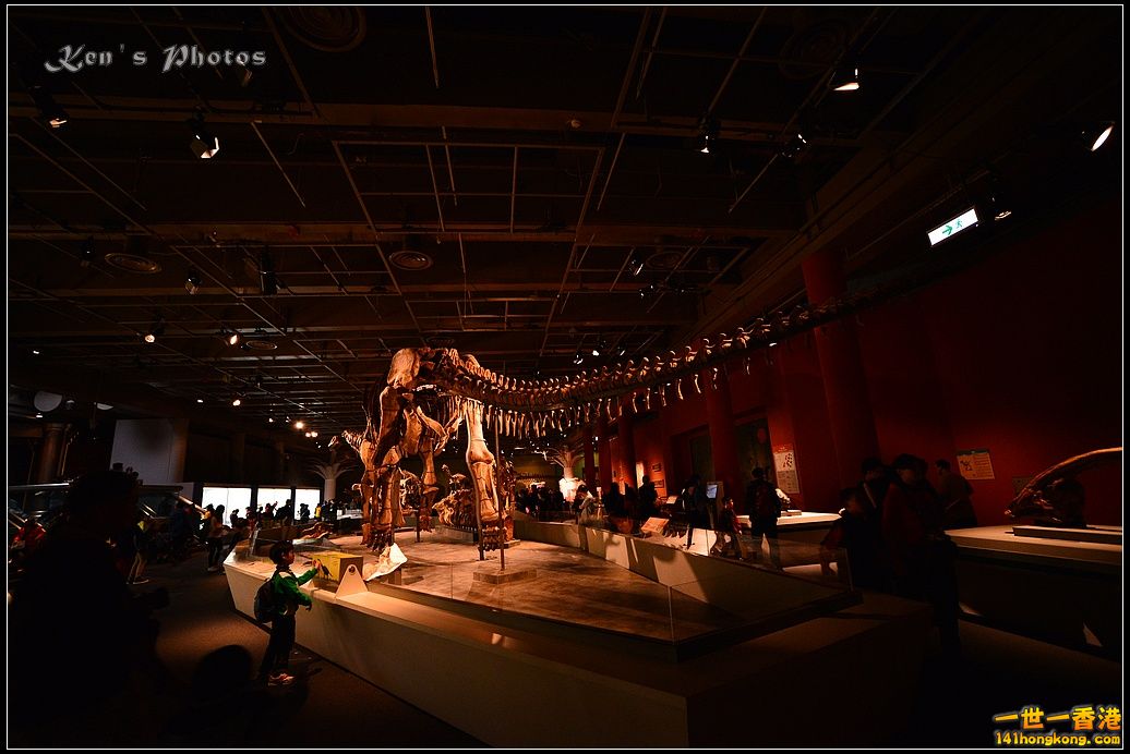 DSC_0300.jpg