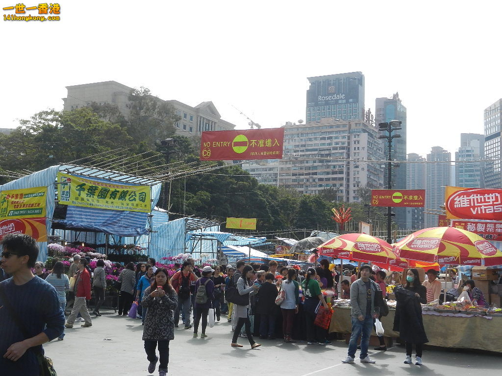 DSCN7575.JPG