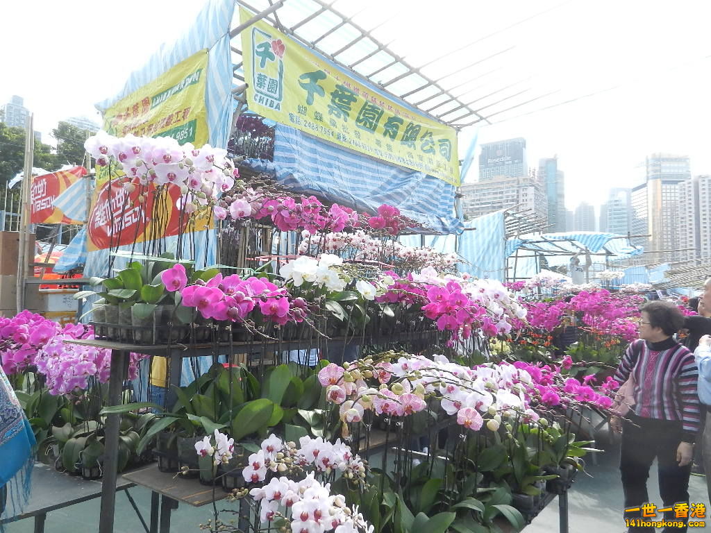 DSCN7576.JPG