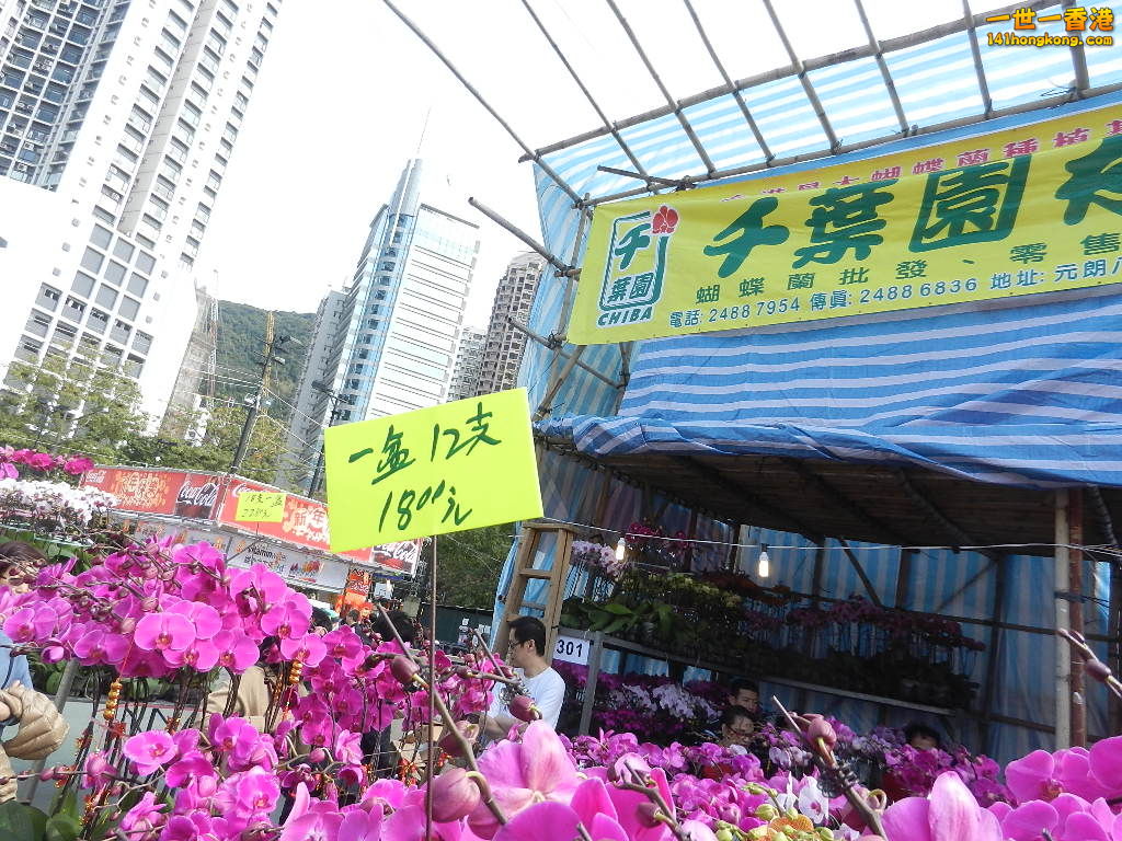 DSCN7578.JPG