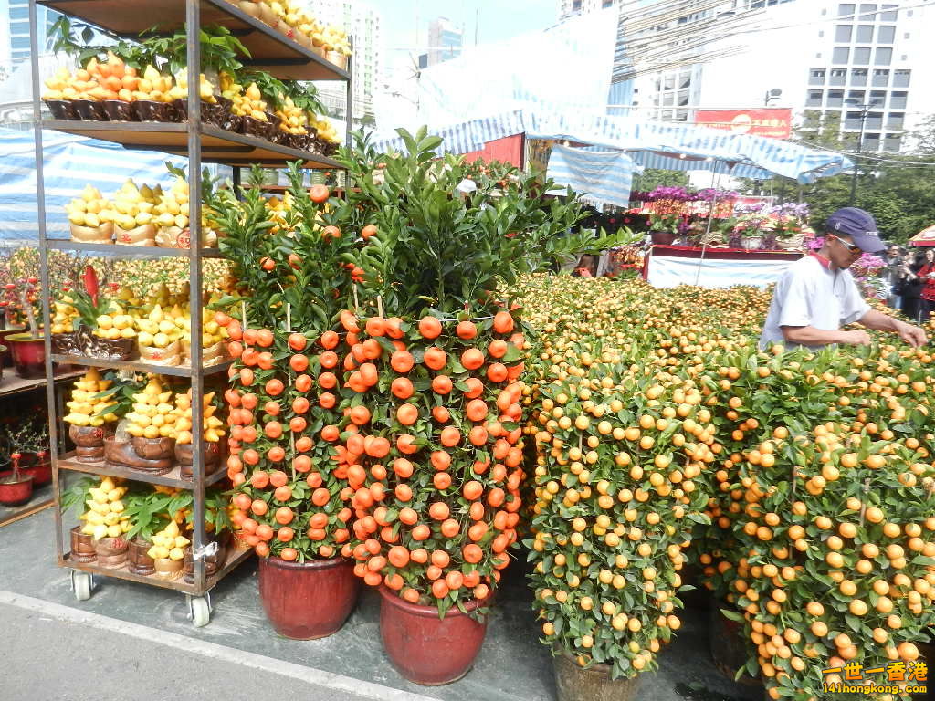 DSCN7579.JPG