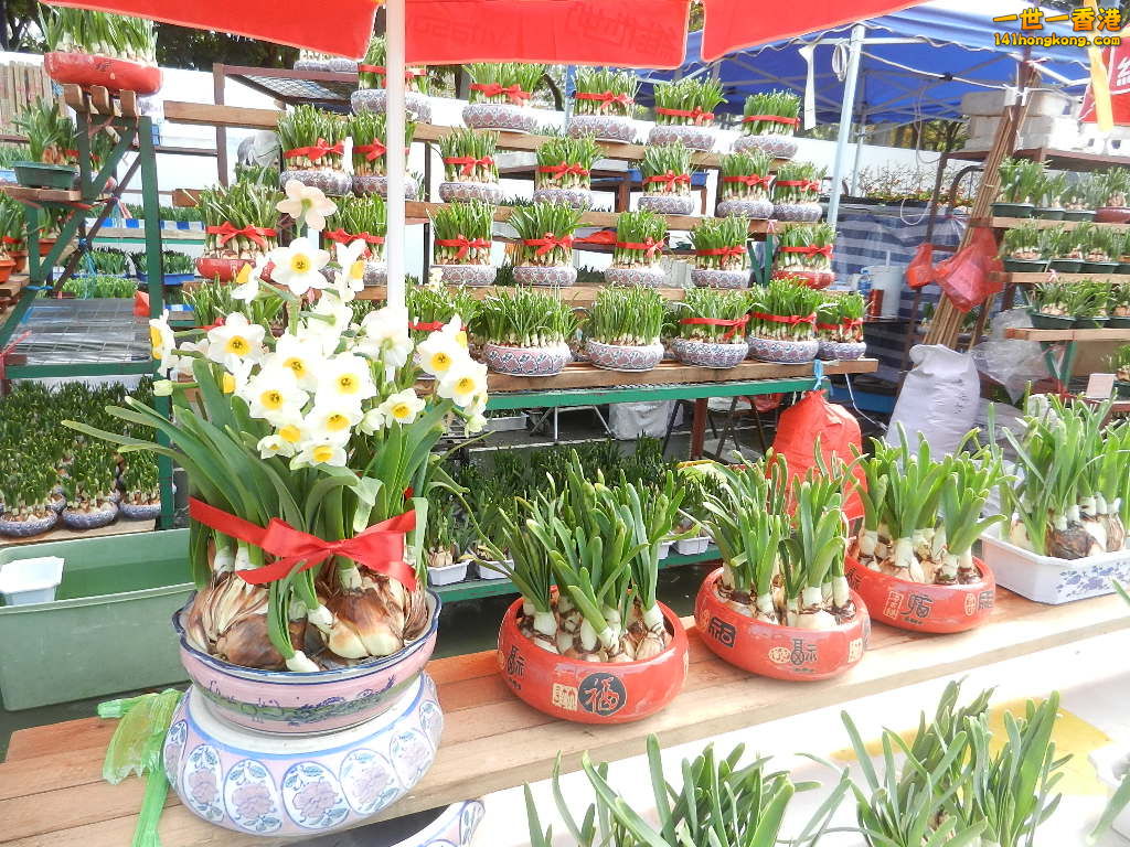 DSCN7581.JPG