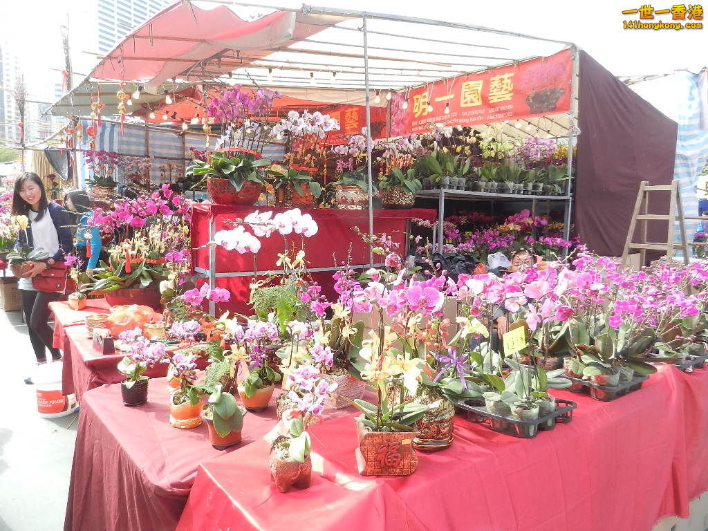 DSCN7582.JPG