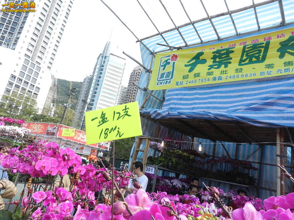 DSCN7578.JPG