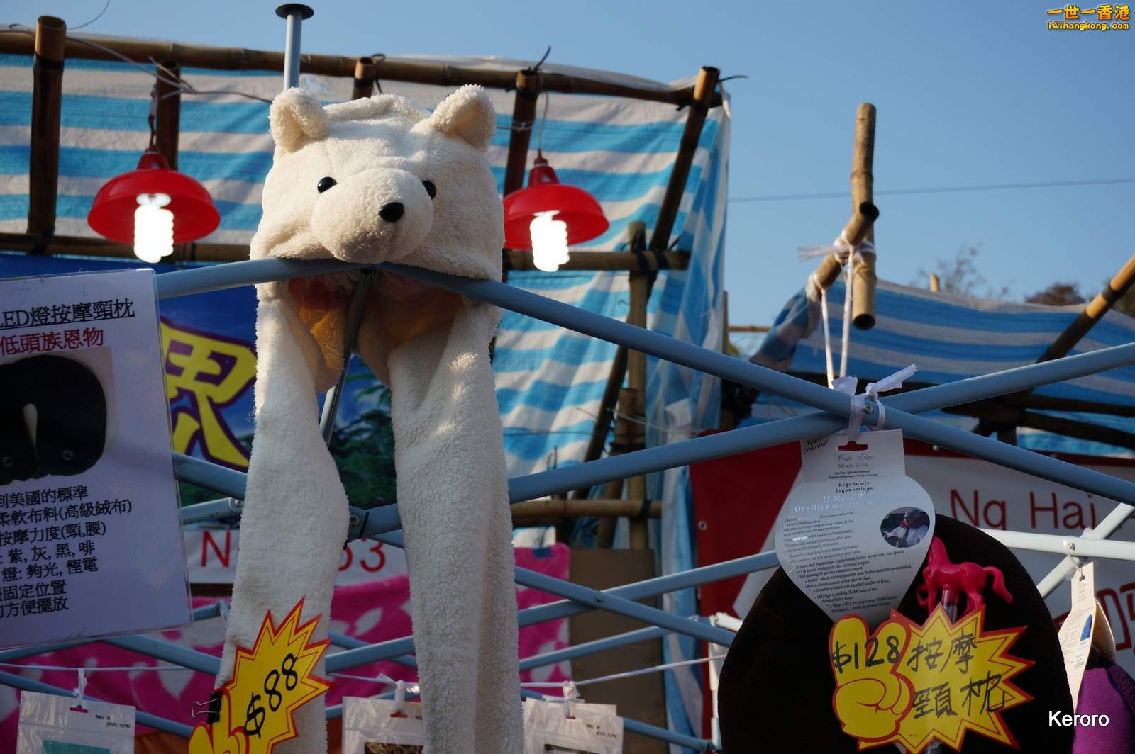 DSC09999.jpg