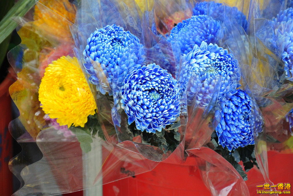 YMKT1193.JPG