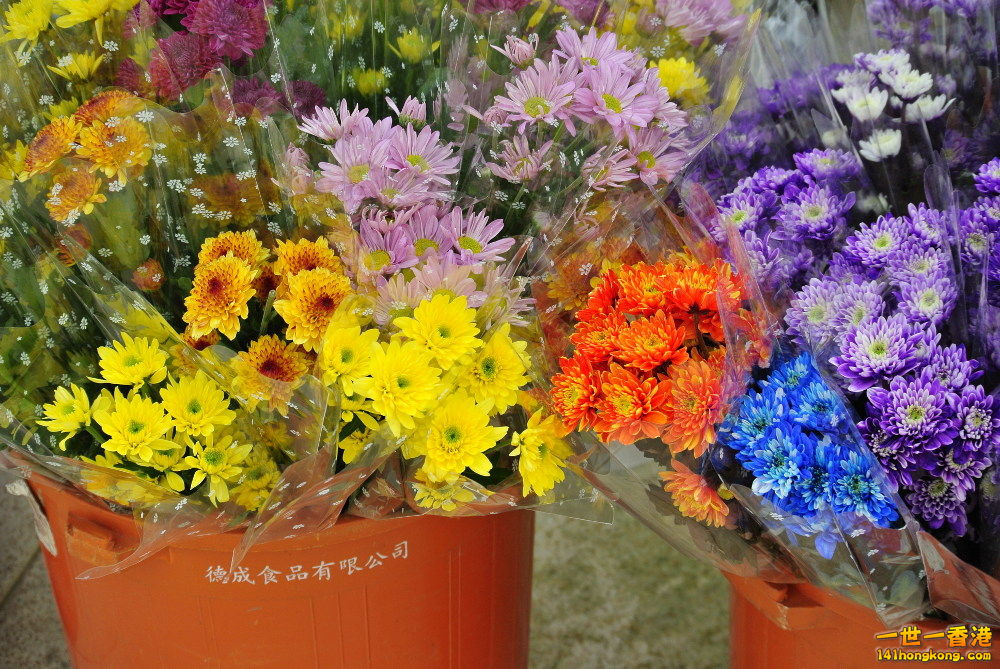 YMKT1195.JPG
