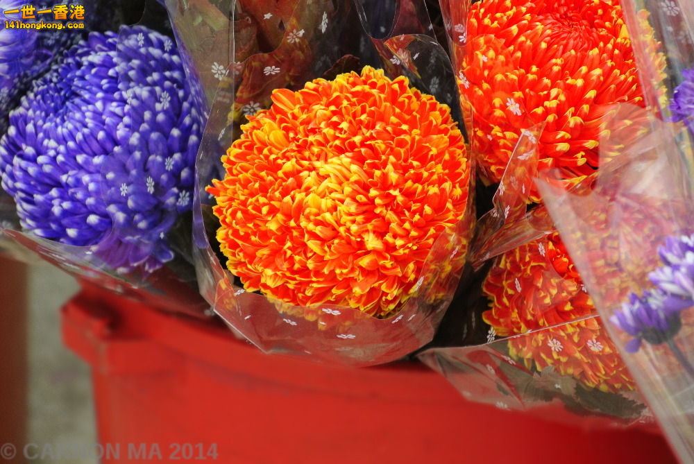 YMKT1196.JPG