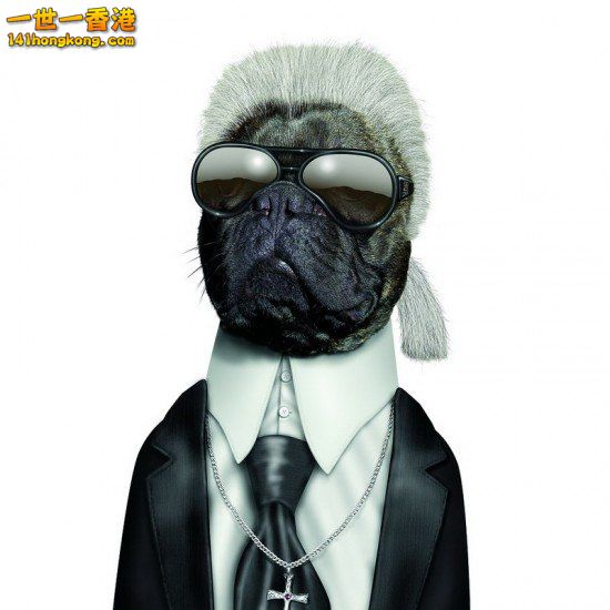 7 Karl Lagerfeld.jpg