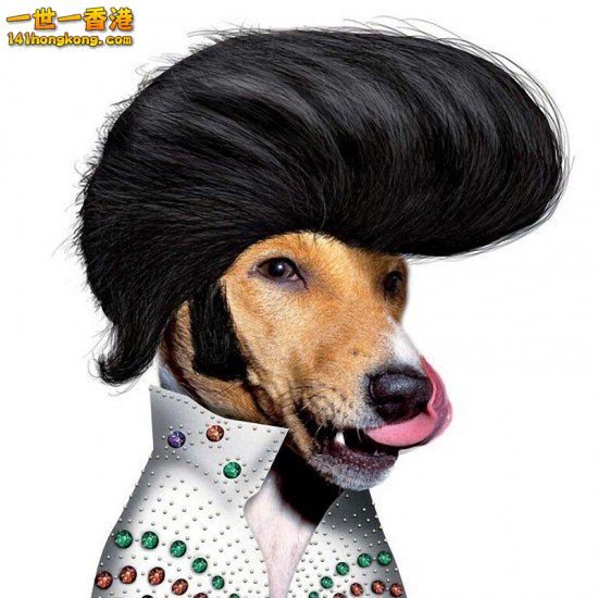 9 Elvis Presley.jpg