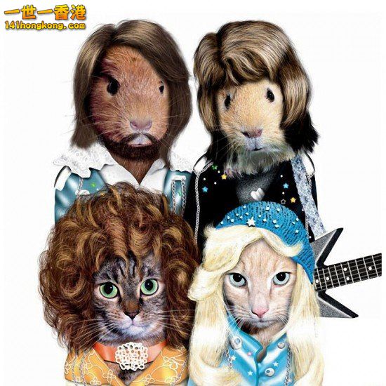 14 Abba.jpg