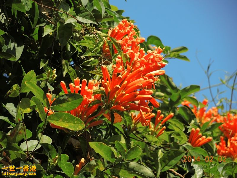 DSCN0044 [800x600].jpg