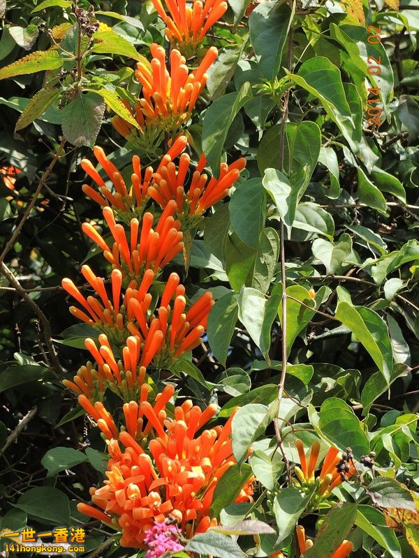 DSCN0046 [800x600].jpg