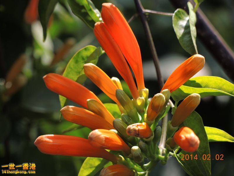 DSCN0048 [800x600].jpg