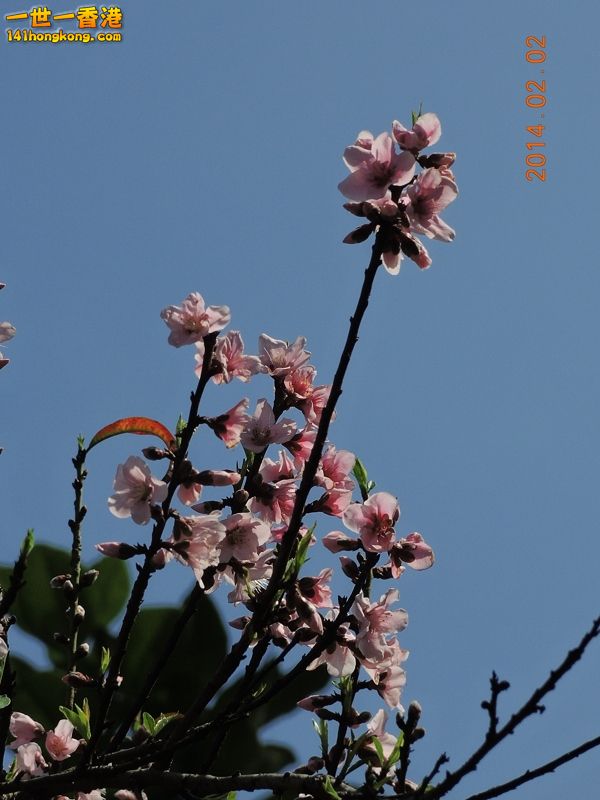 DSCN0071 [800x600].jpg