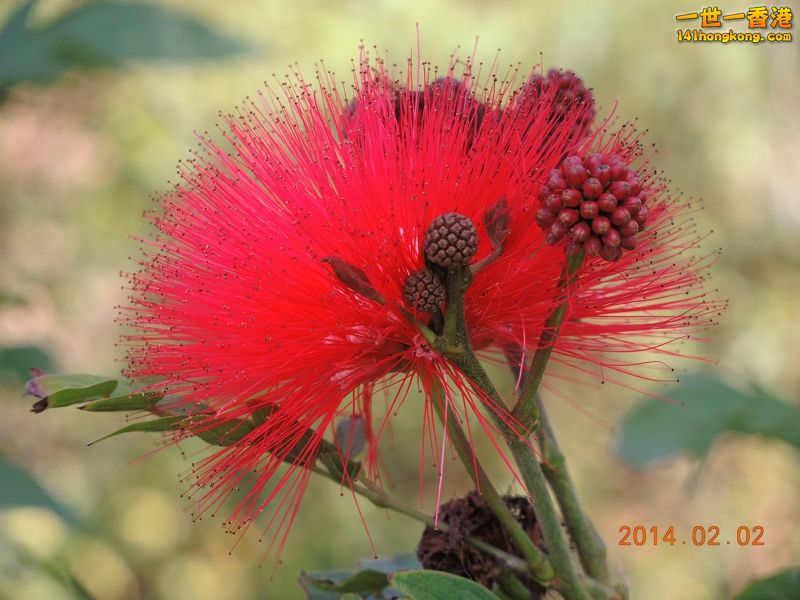 DSCN0114 [800x600].jpg