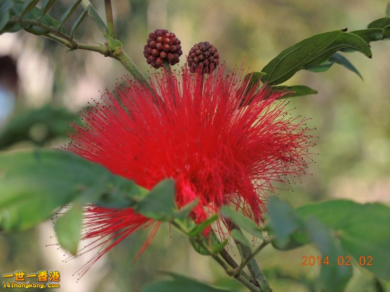 DSCN0115 [800x600].jpg