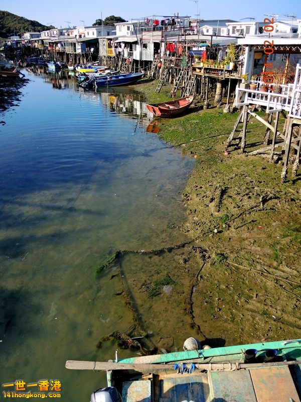 DSCN0202 [800x600].jpg