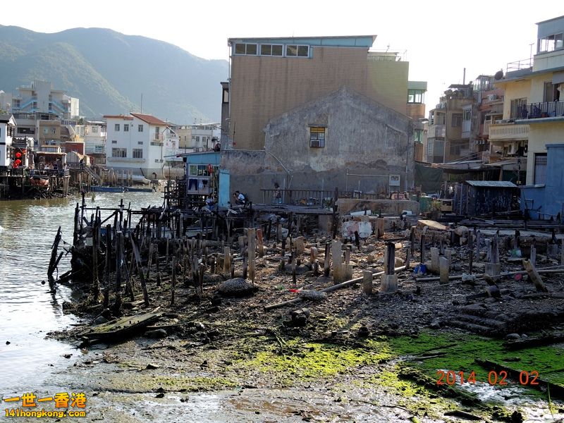 DSCN0203 [800x600].jpg