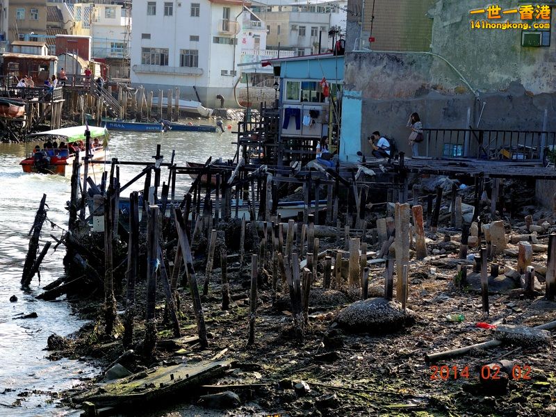 DSCN0204 [800x600].jpg