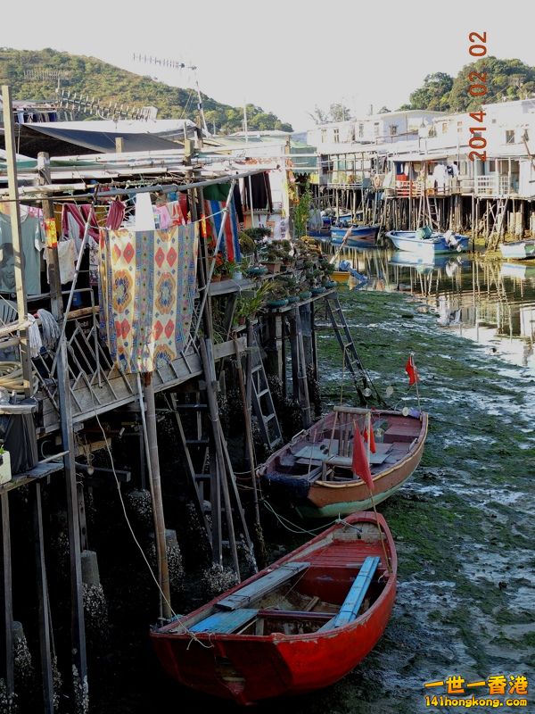 DSCN0205 [800x600].jpg