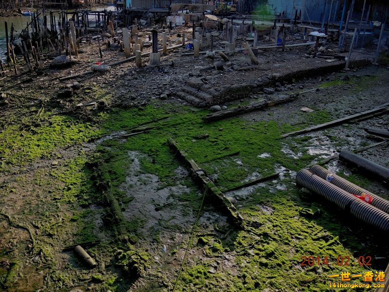 DSCN0207 [800x600].jpg