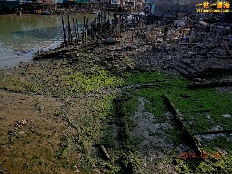 DSCN0208 [800x600].jpg