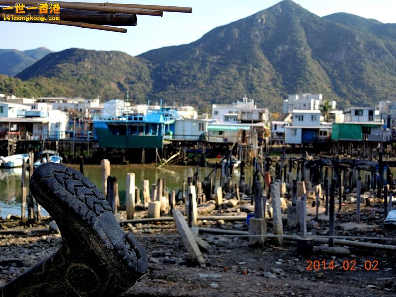 DSCN0212 [800x600].jpg