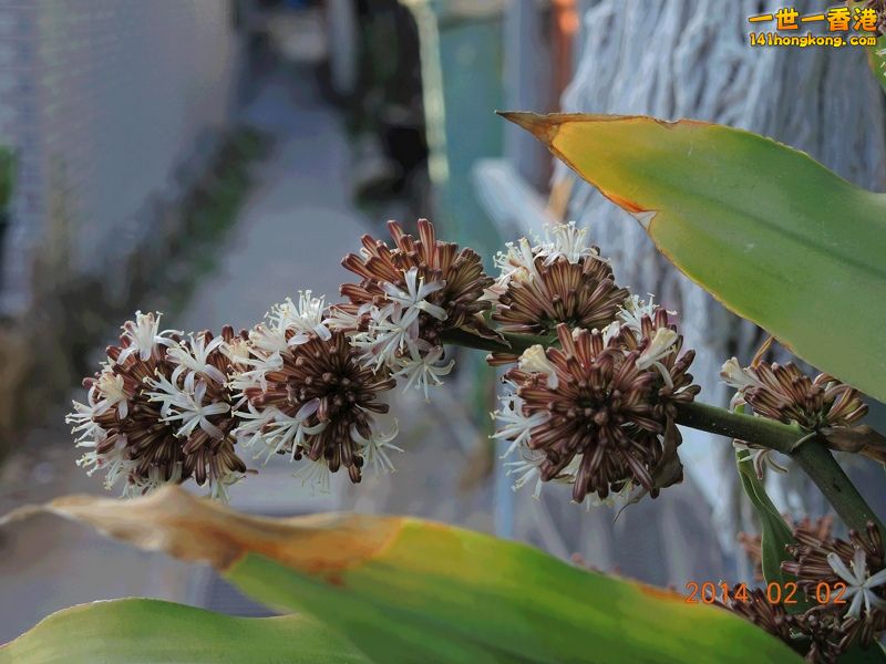 DSCN0214 [800x600].jpg