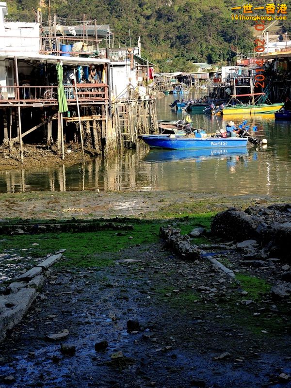 DSCN0216 [800x600].jpg