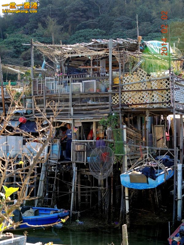 DSCN0171 [800x600].jpg