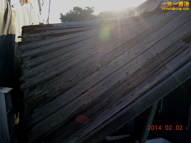 DSCN0178 [800x600].jpg