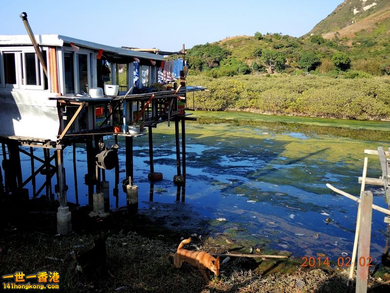 DSCN0182 [800x600].jpg