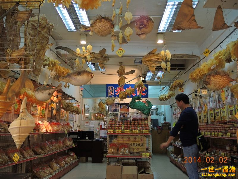 DSCN0249 [800x600].jpg