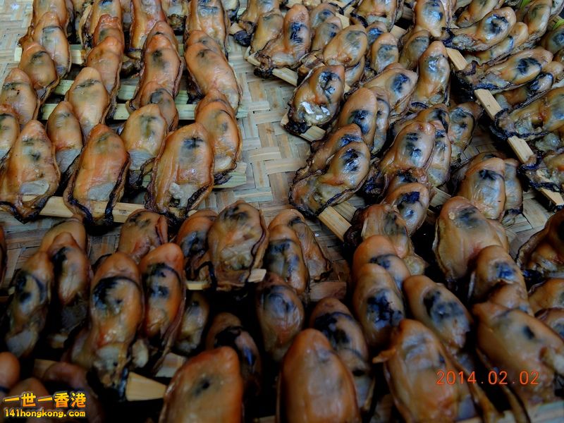 DSCN0273 [800x600].jpg