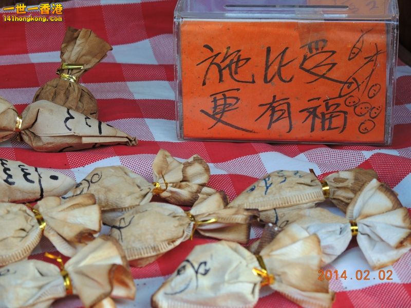 DSCN0221 [800x600].jpg