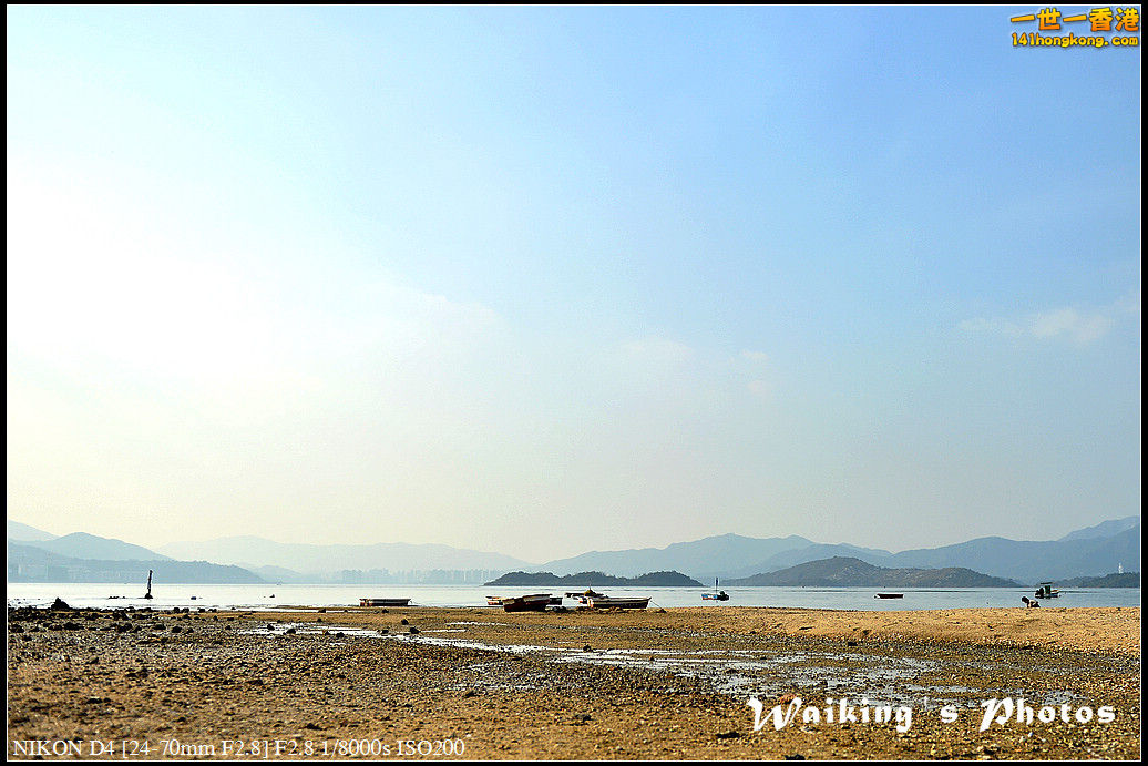 DSC_1827.jpg