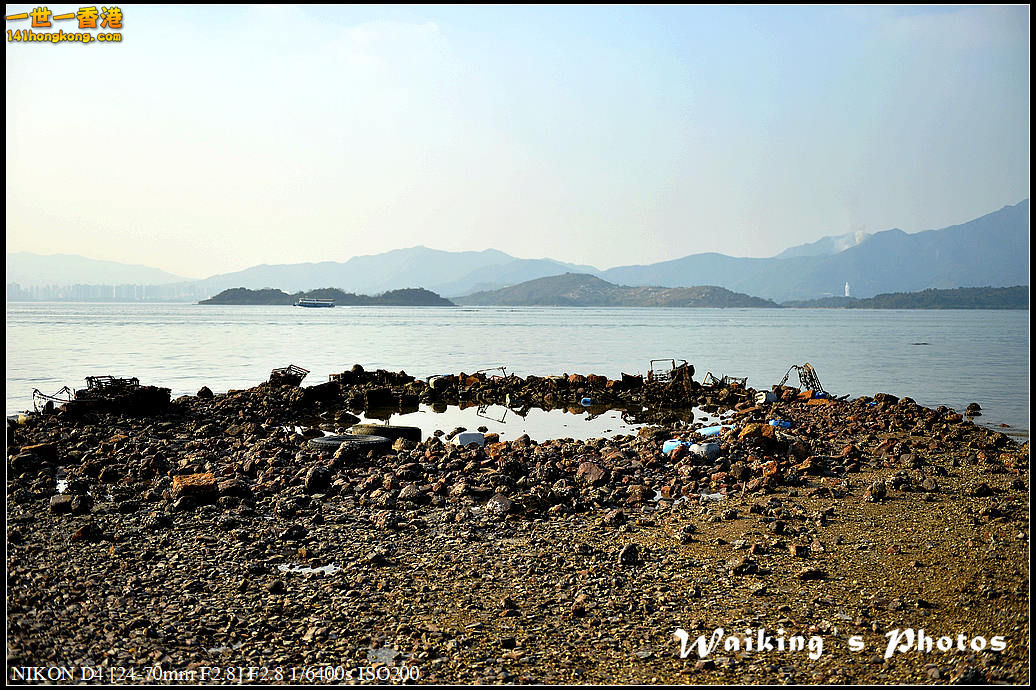 DSC_1843.jpg