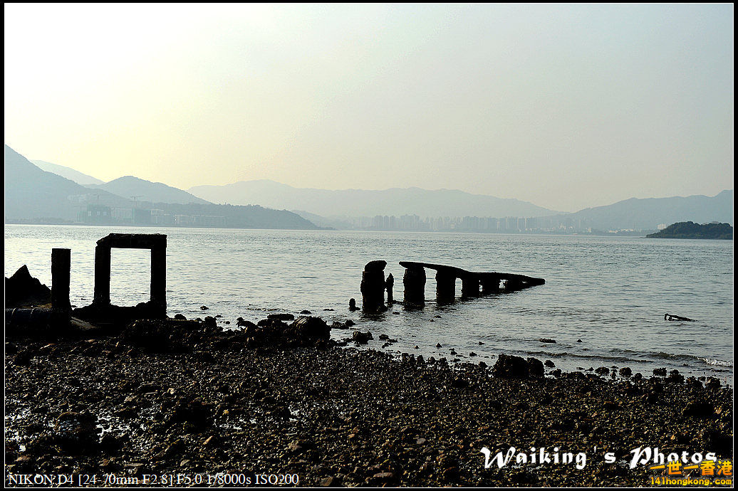 DSC_1856.jpg