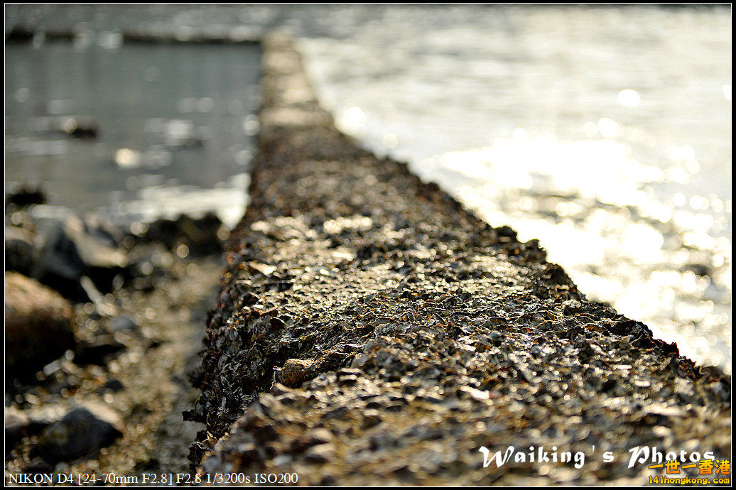 DSC_1864.jpg