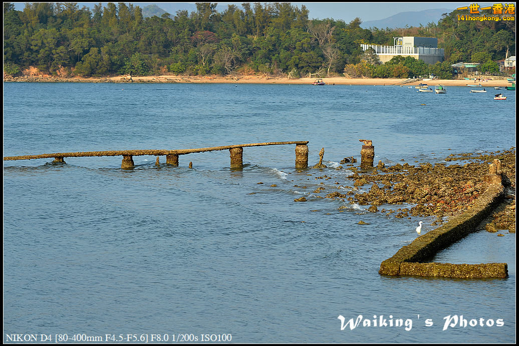 DSC_1895.jpg