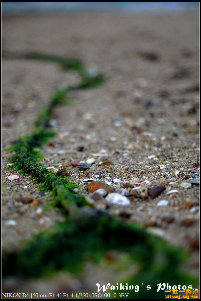 DSC_2087.jpg
