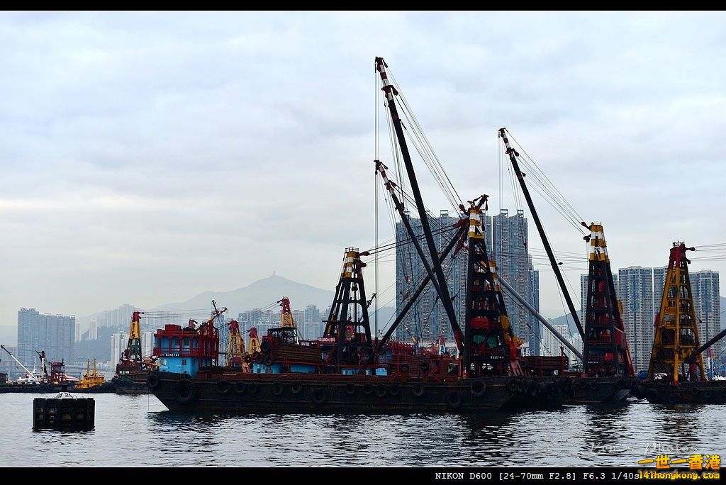 DSC_3711.jpg