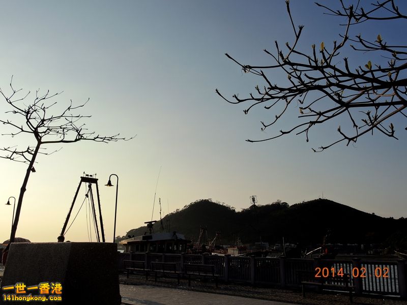 DSCN0282 [800x600].jpg