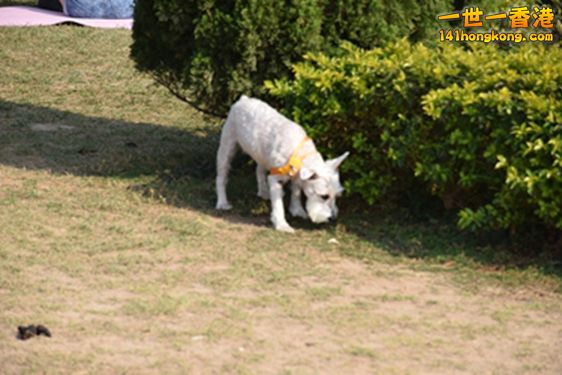 DSC_0037.JPG