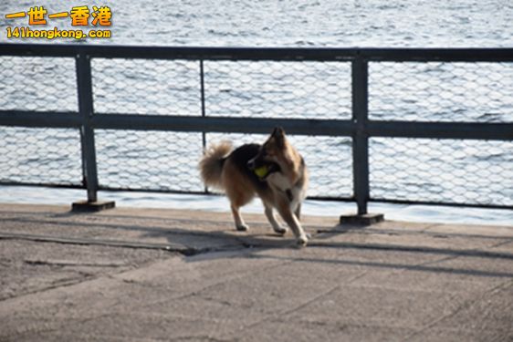 DSC_0070.JPG