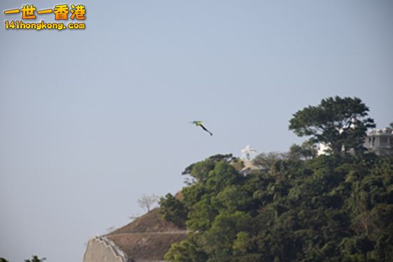 DSC_0003.JPG