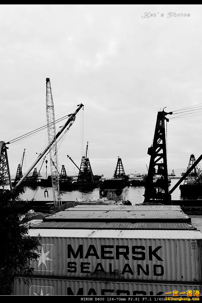 DSC_3699.jpg