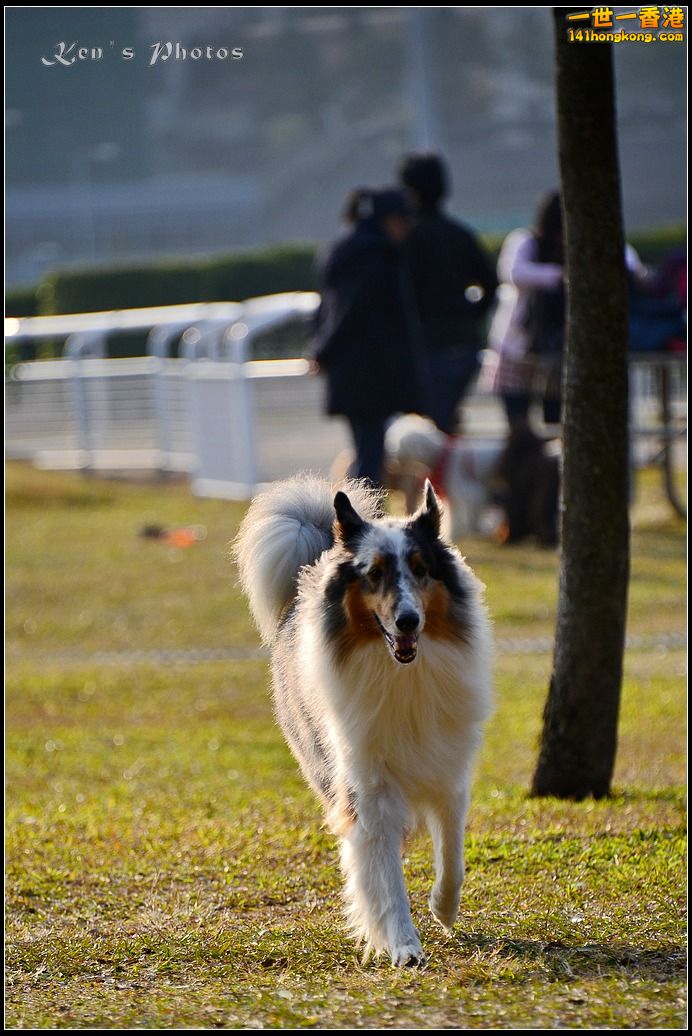 DSC_0579.jpg