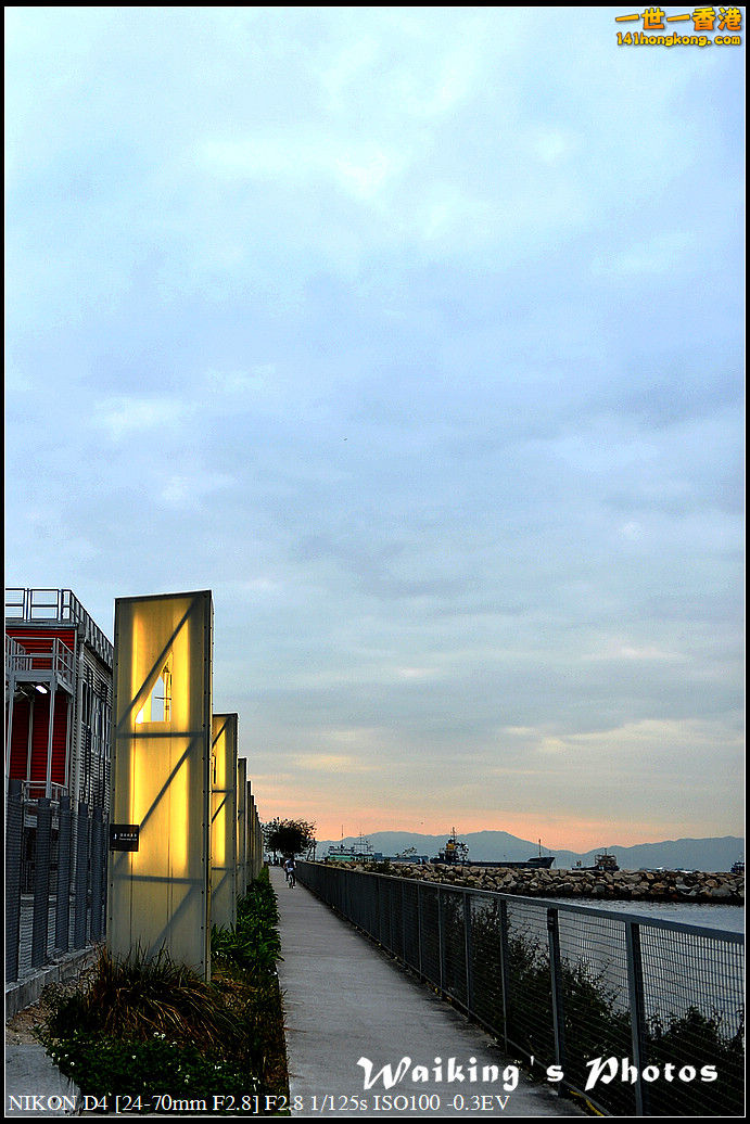 DSC_2155.jpg